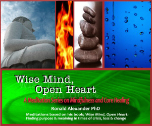 Wise Mind, Open Heart