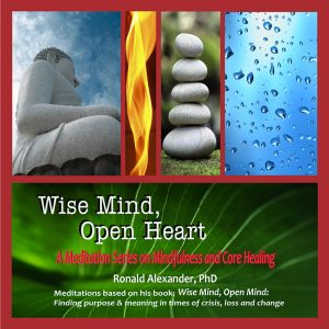 Wise Mind Open Heart CD